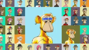 A colorful collage of many different Bored Ape Yacht Club (BAYC) NFT profile pictures, representing the popular and controversial NFT collection.