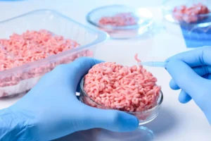 A scientist in a lab coat and blue gloves inspects a sample of lab-grown meat in a petri dish.